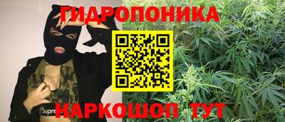 PSILOCYBIN Гусев