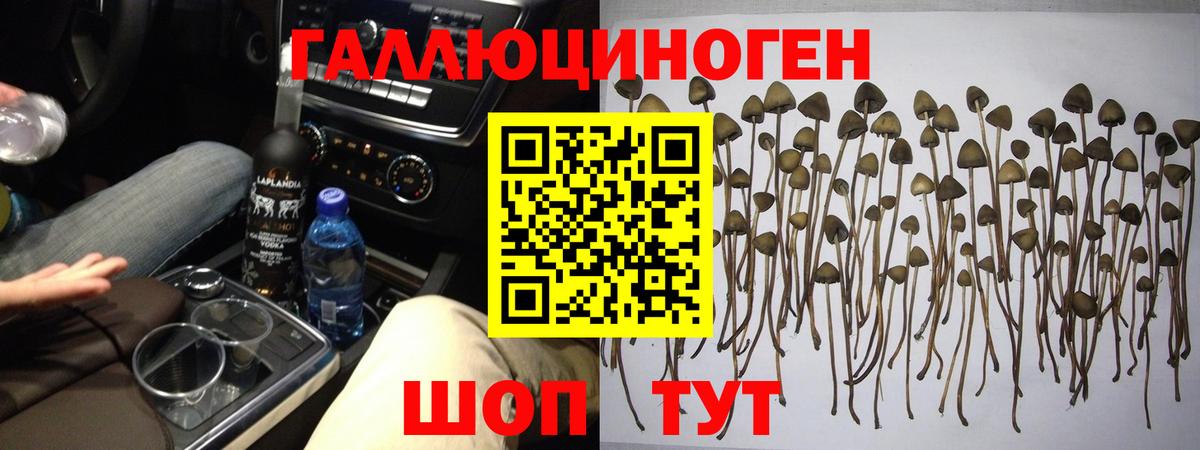Галлюциногенные грибы ЛСД Нефтекамск